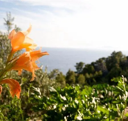 Apartamento Perka Sveta Nedelja (Hvar)