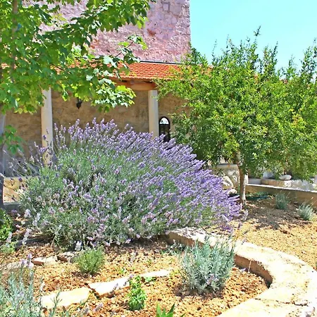 Perka Sveta Nedelja (Hvar)