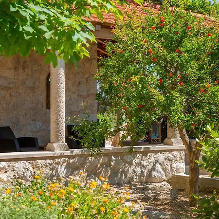 Perka Sveta Nedelja (Hvar)