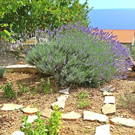 Appartement Perka Sveta Nedelja (Hvar)