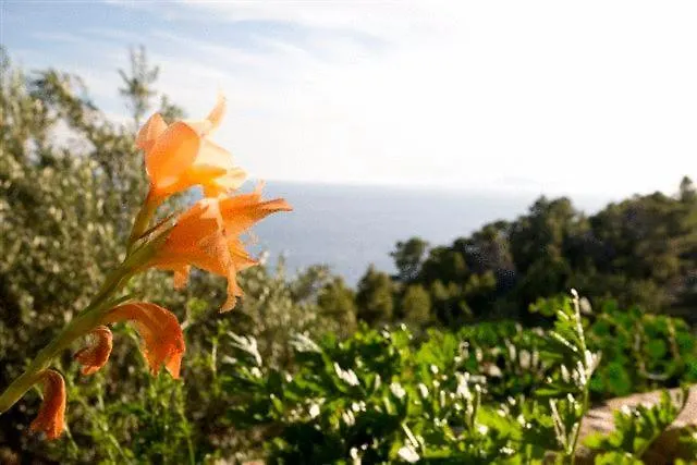 Appartement Perka Sveta Nedelja (Hvar)