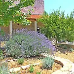 Perka Sveta Nedelja (Hvar)
