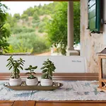Perka Apartment Sveta Nedelja (Hvar)